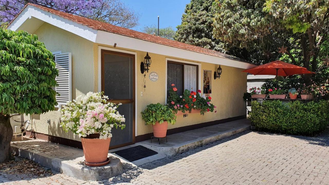 La Casita De Fraida Apartment กัวดาลาฮารา ภายนอก รูปภาพ